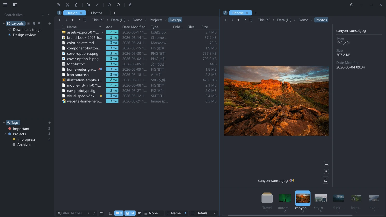 tessoa main window with a split view, detailed list on the left, gallery on the right, layouts and tags in the sidebar