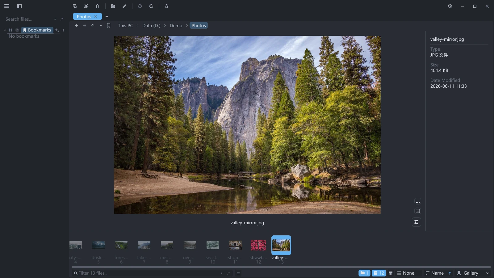 A photo previewed in the tessoa gallery view, large in the middle with zoom and rotate buttons at the bottom right