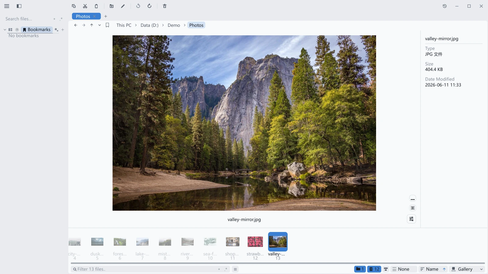 A photo previewed in the tessoa gallery view, large in the middle with zoom and rotate buttons at the bottom right