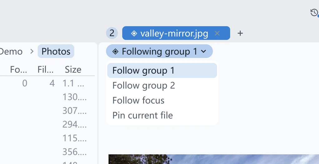 The nav bar of a preview tab: a single binding chip reading Following group 1, with the rebinding menu opened below it