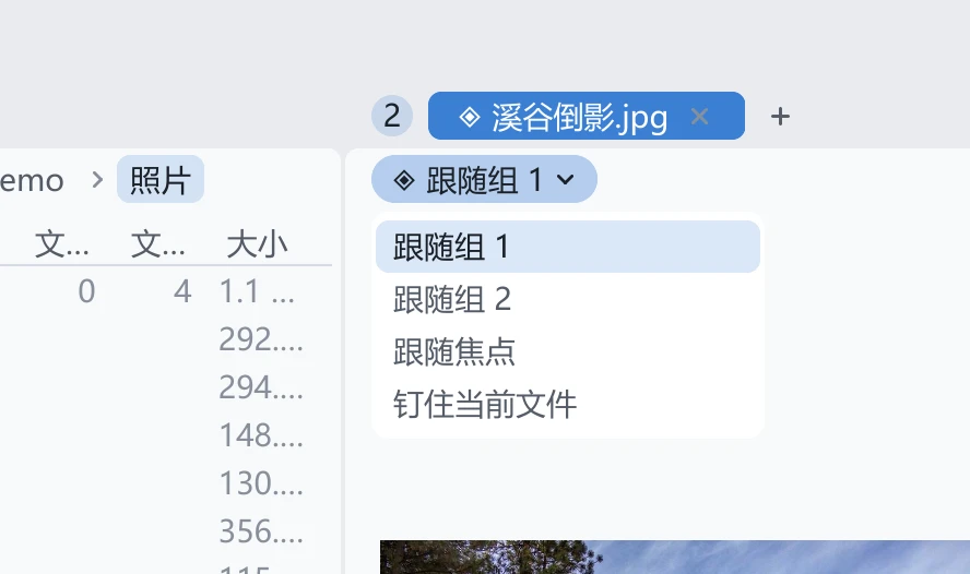 预览标签页的导航栏:只有一枚写着「跟随组 1」的绑定芯片,单击后下面展开改绑菜单
