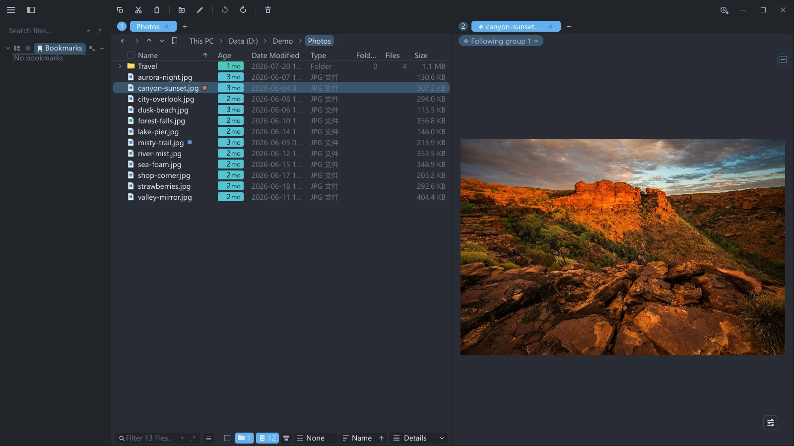 tessoa split in two: the Photos folder in details view on the left, a preview tab on the right whose nav bar holds a single chip reading Following group 1