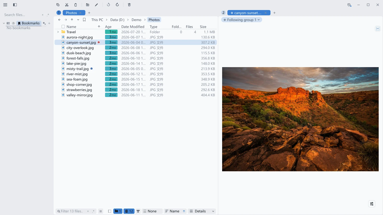 tessoa split in two: the Photos folder in details view on the left, a preview tab on the right whose nav bar holds a single chip reading Following group 1